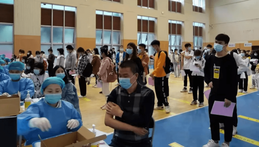 三维丝最新消息新闻详解，获取与解读三维丝相关资讯的指南