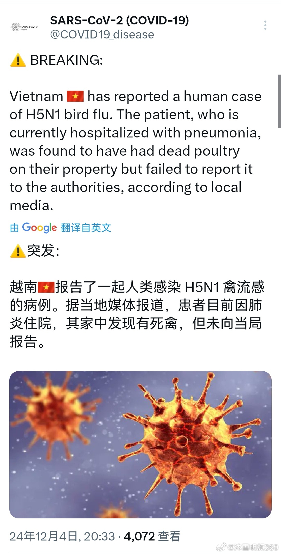 管状病毒肺炎最新动态，全球实时更新与知识普及