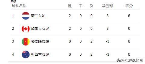 国足世界杯积分榜最新动态，回顾历程，展望未来的征程