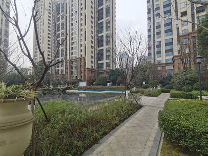 优品道珑苑最新动态更新