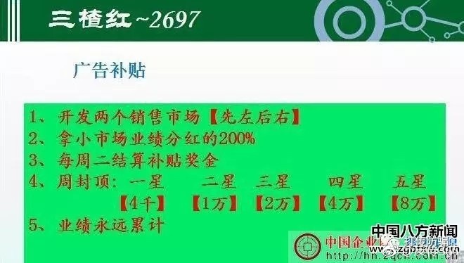 三楂红众筹最新动态与消息速递🚀🔥